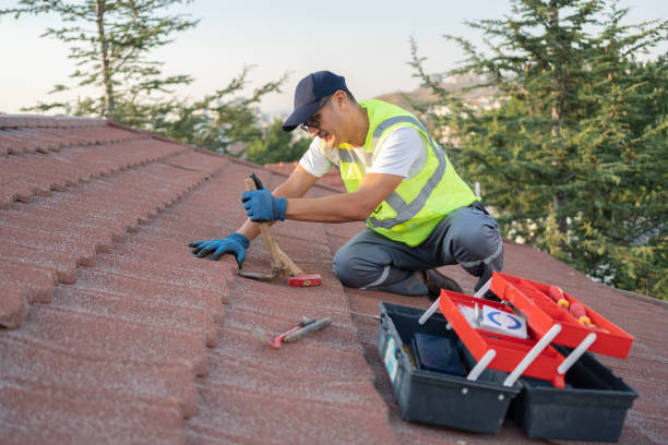 Best Roof Gutter Cleaning  in Mount Airy, MD